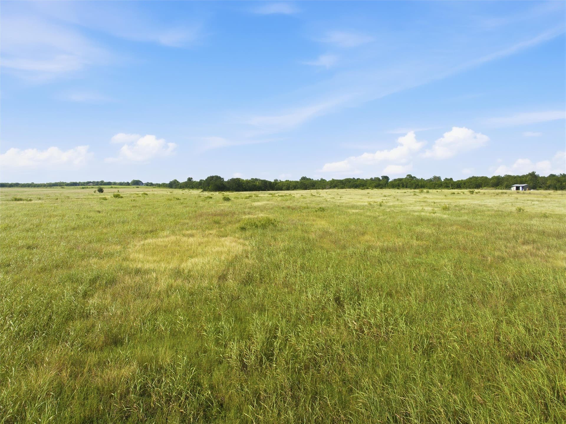 50 acres in Falls County - photo 13
