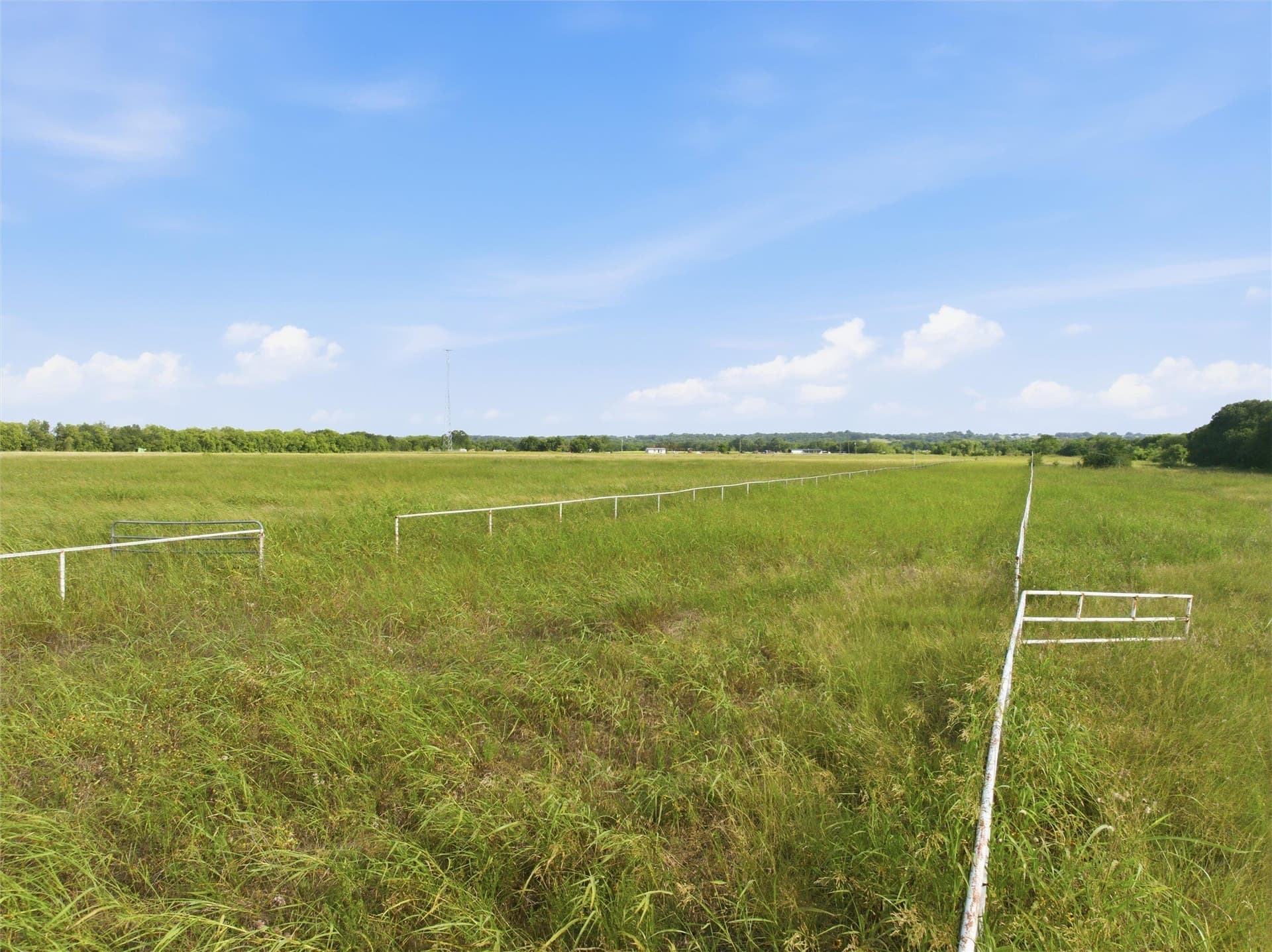 50 acres in Falls County - photo 6