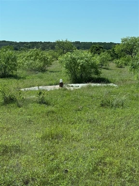 10.01 acres in Comanche County gallery image 4
