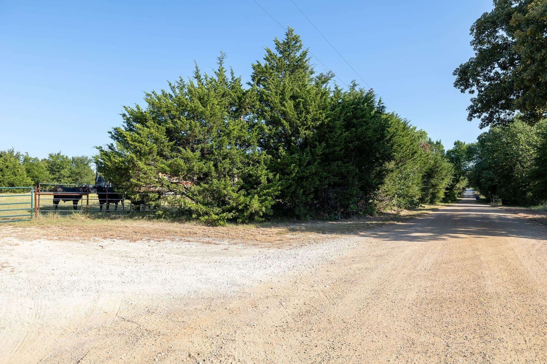 6.16 acres in Grayson County - photo 4