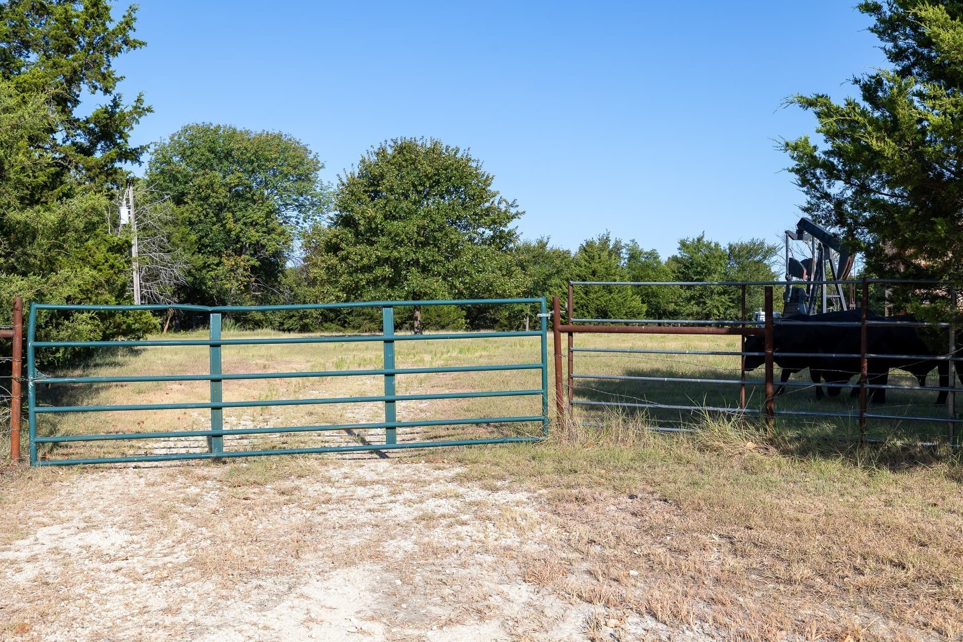 6.16 acres in Grayson County - photo 5