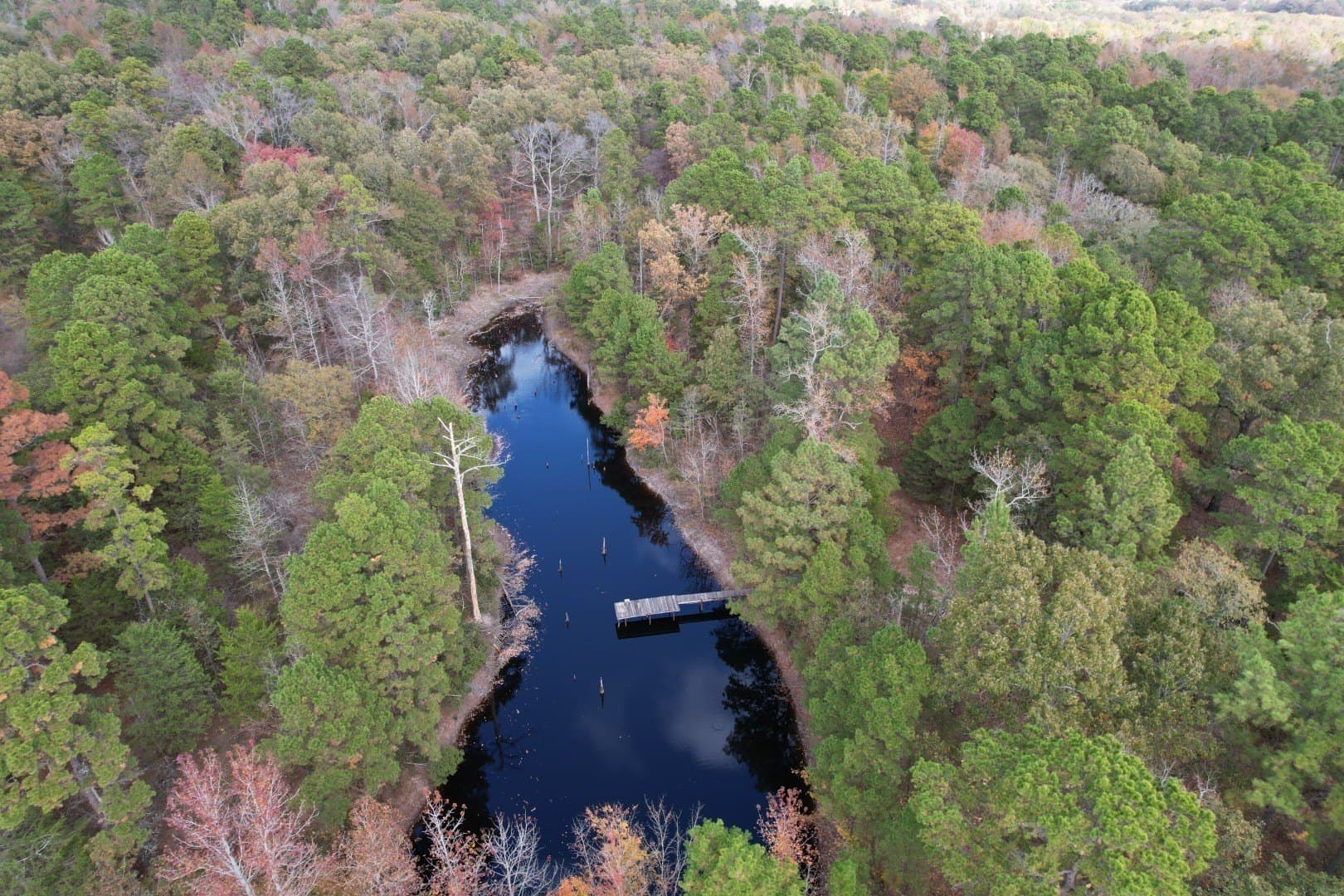 132.07 acres in Upshur County gallery image 4