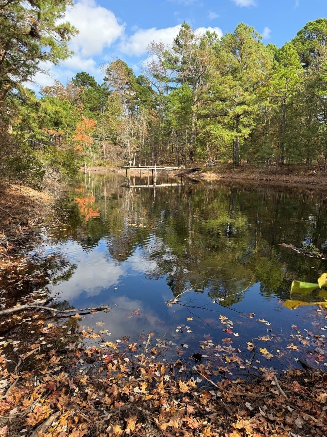 132.07 acres in Upshur County - photo 27
