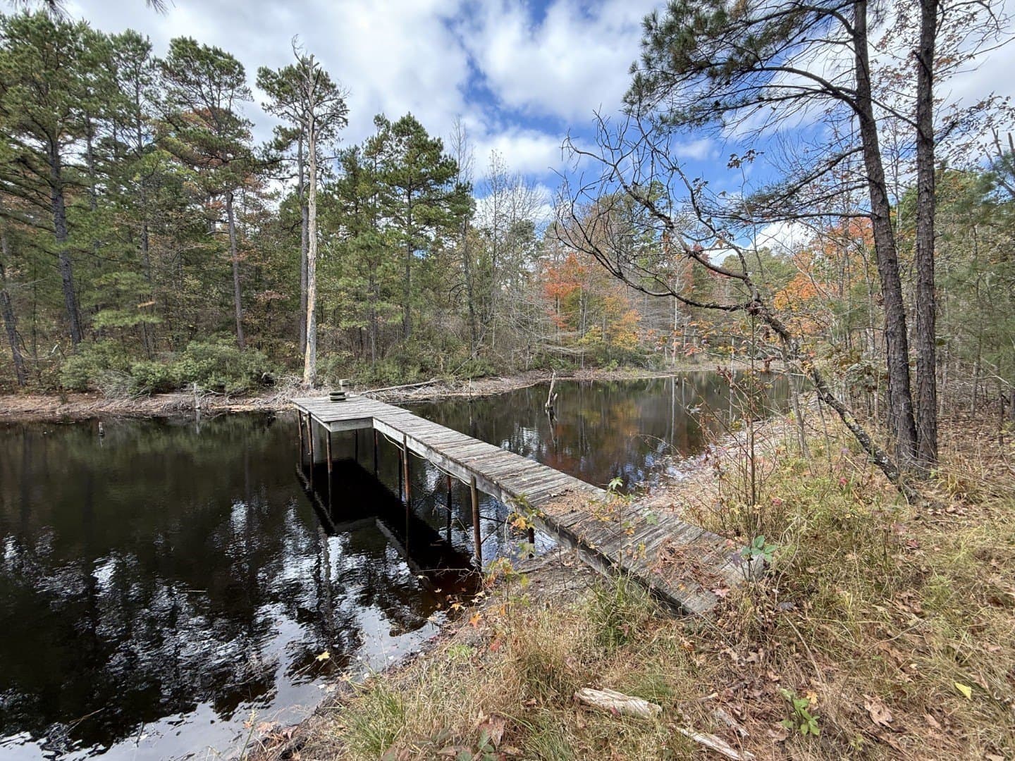 132.07 acres in Upshur County
