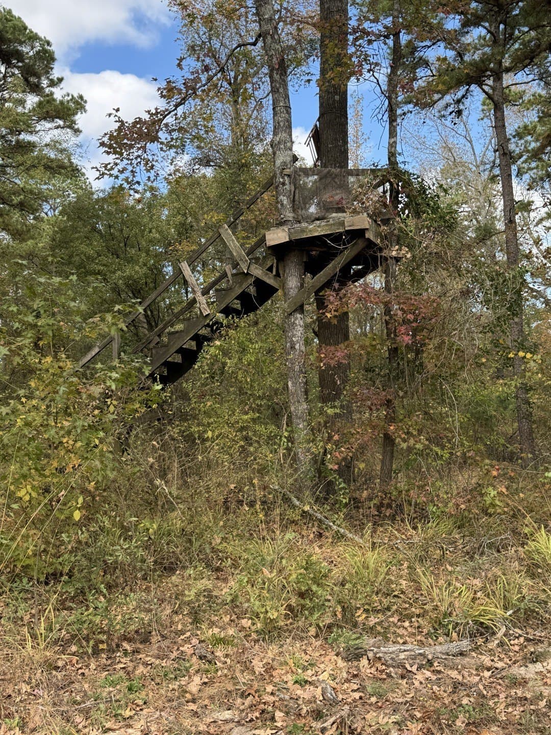 132.07 acres in Upshur County - photo 10
