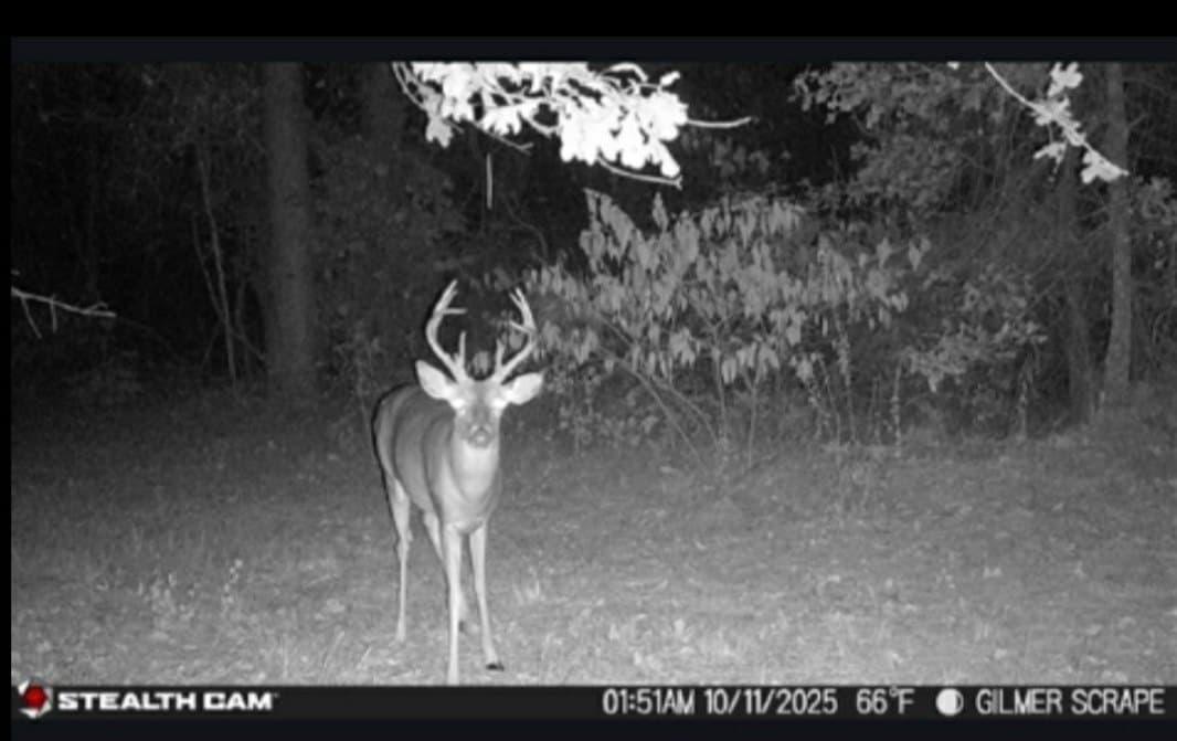132.07 acres in Upshur County featured view