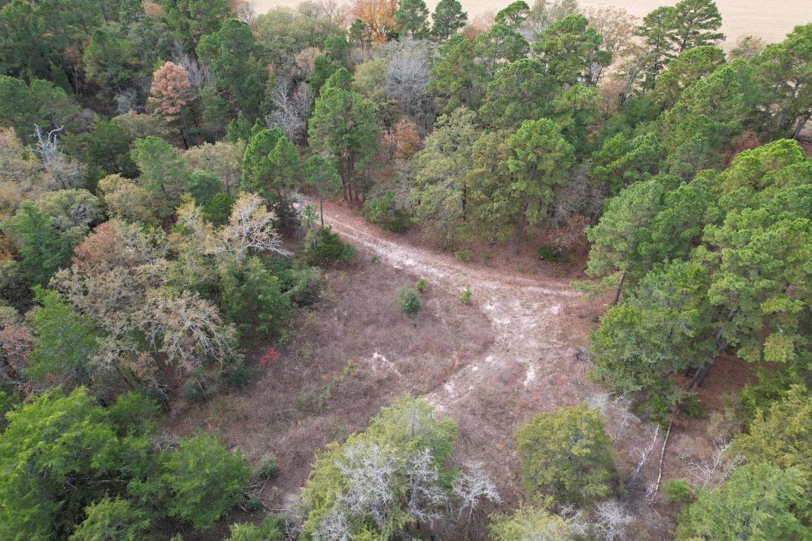 132.07 acres in Upshur County - photo 18