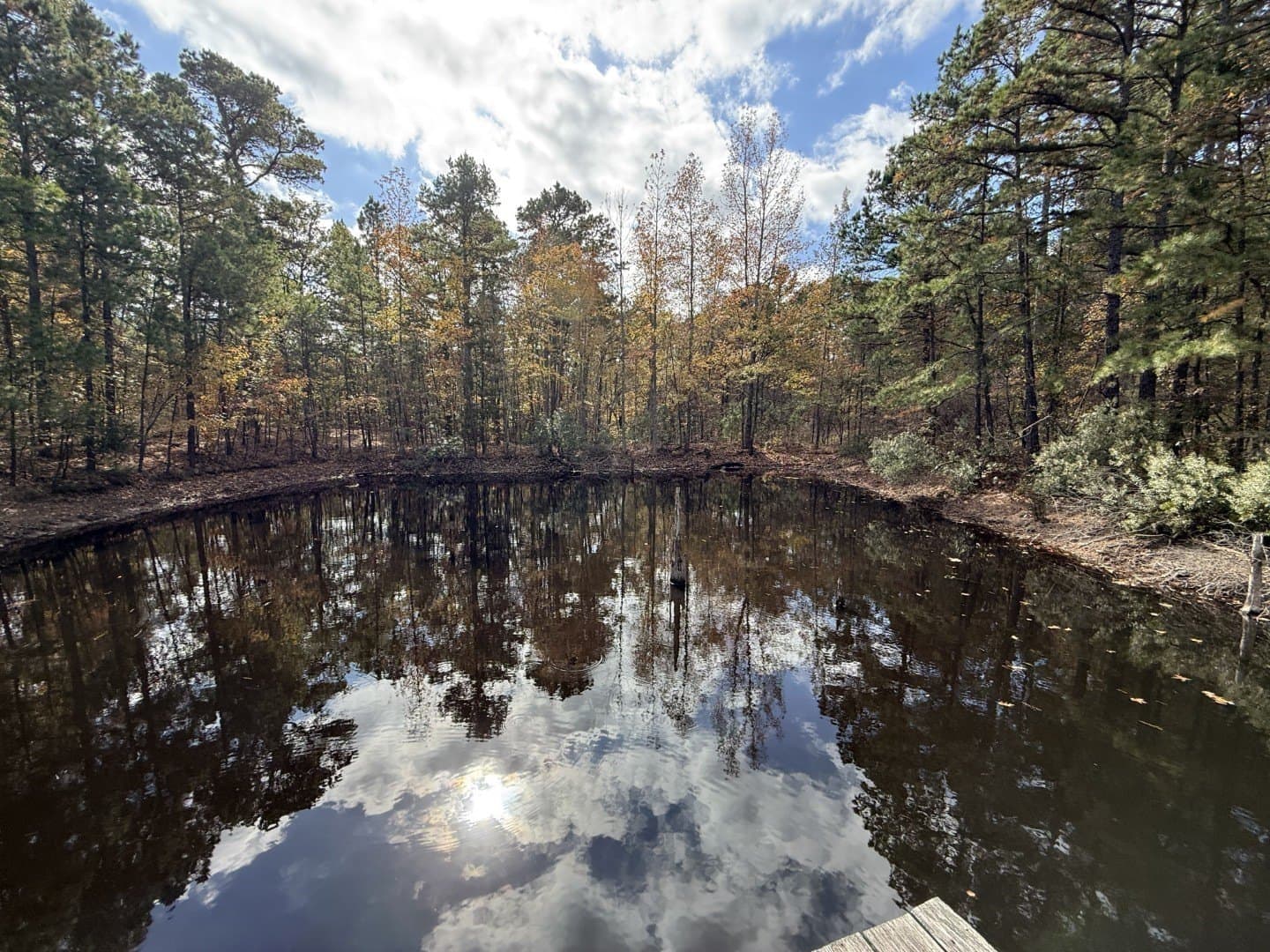 132.07 acres in Upshur County - photo 26