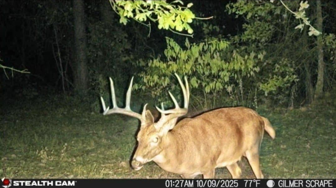 132.07 acres in Upshur County gallery image 3