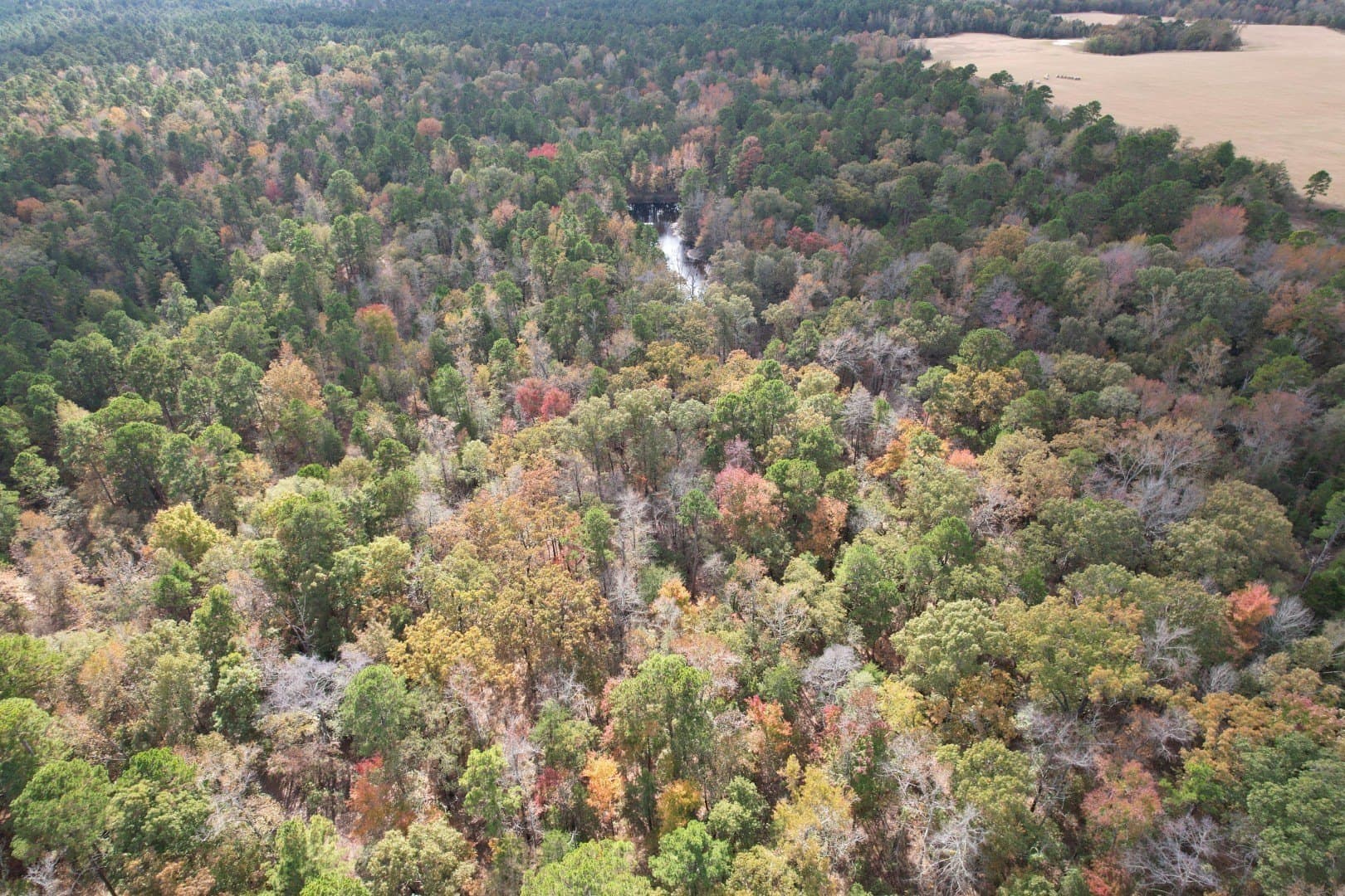 132.07 acres in Upshur County - photo 16