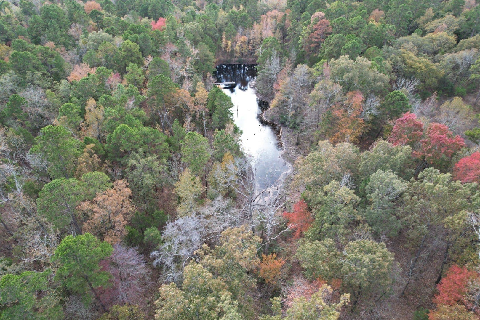132.07 acres in Upshur County - photo 17