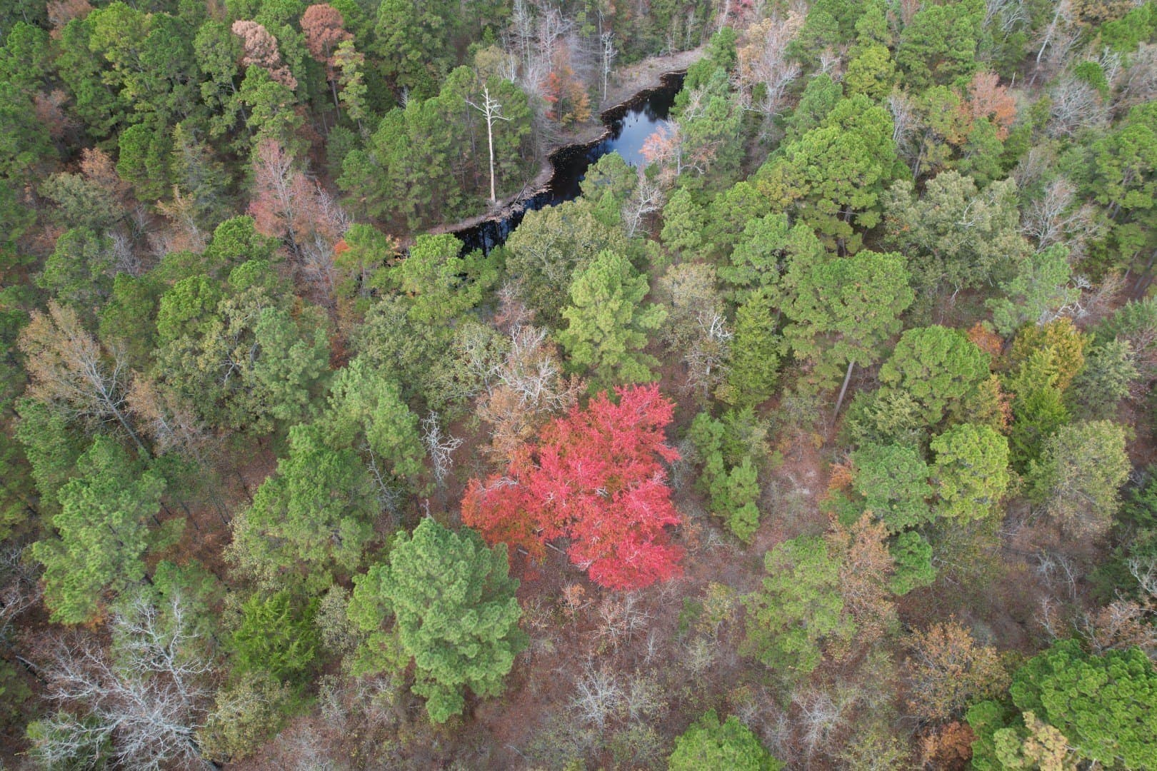 132.07 acres in Upshur County - photo 23
