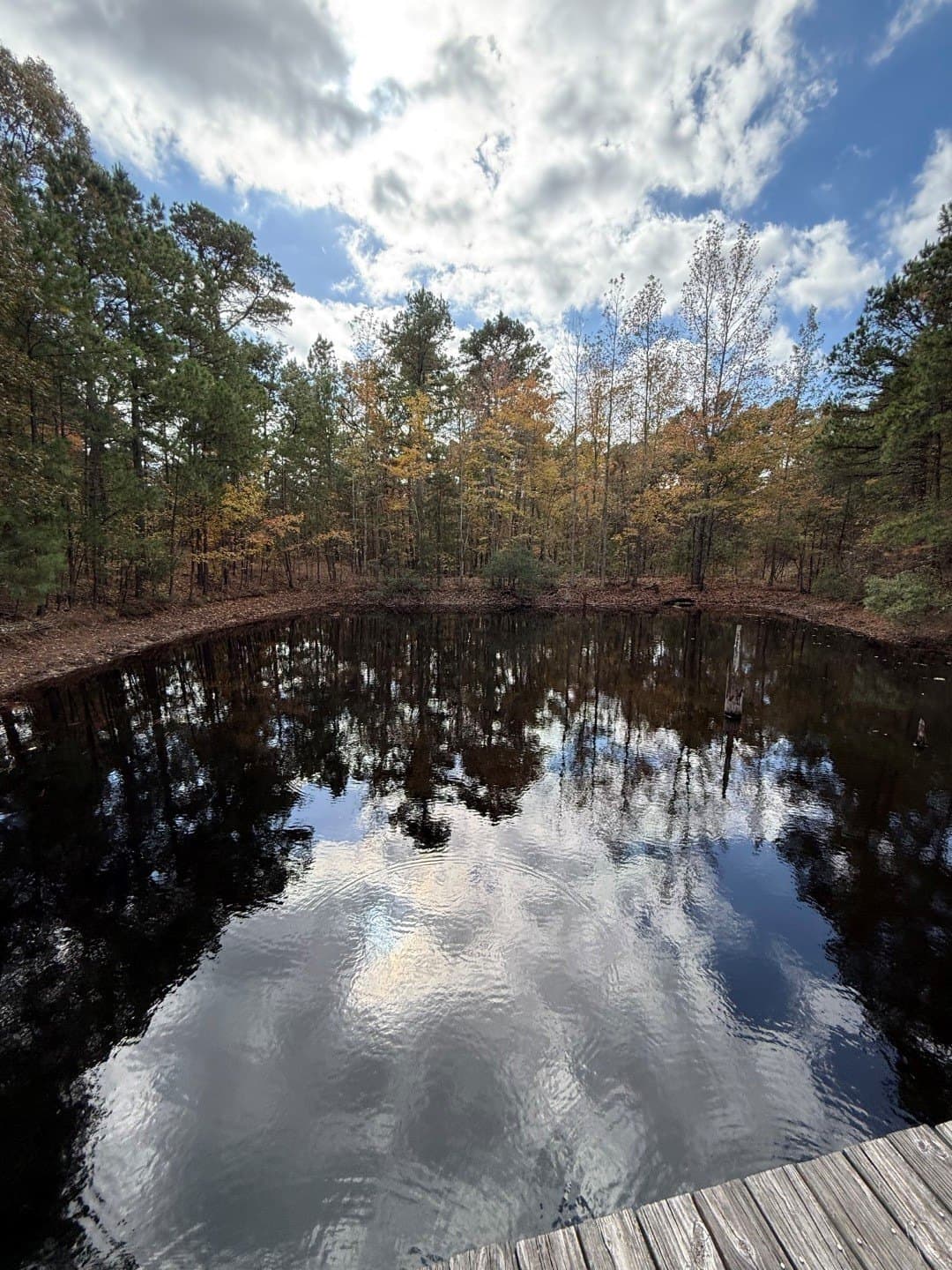 132.07 acres in Upshur County - photo 25