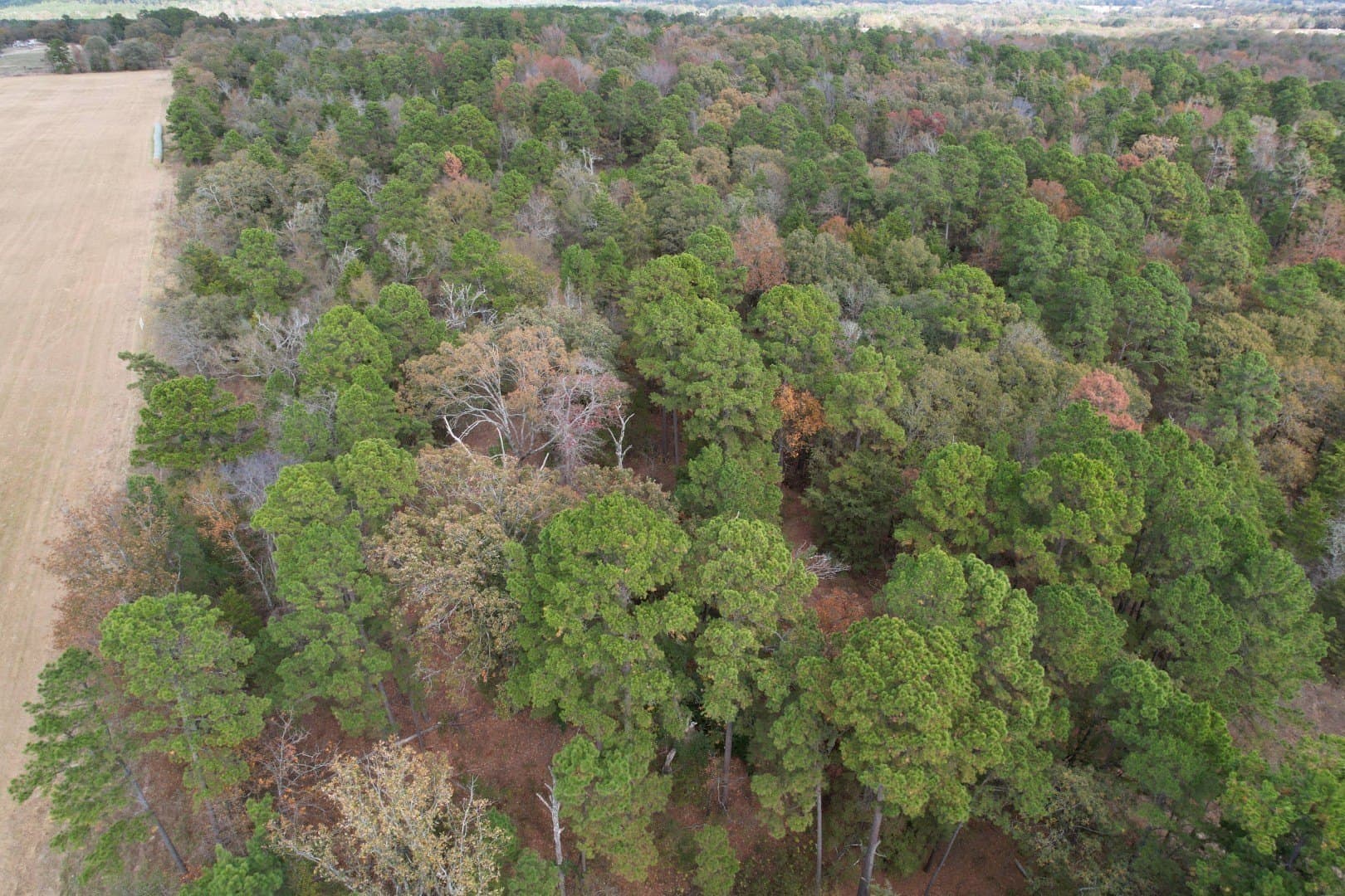 132.07 acres in Upshur County - photo 19