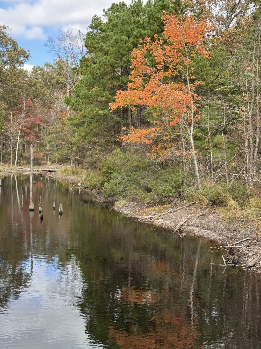132.07 acres in Upshur County - photo 8