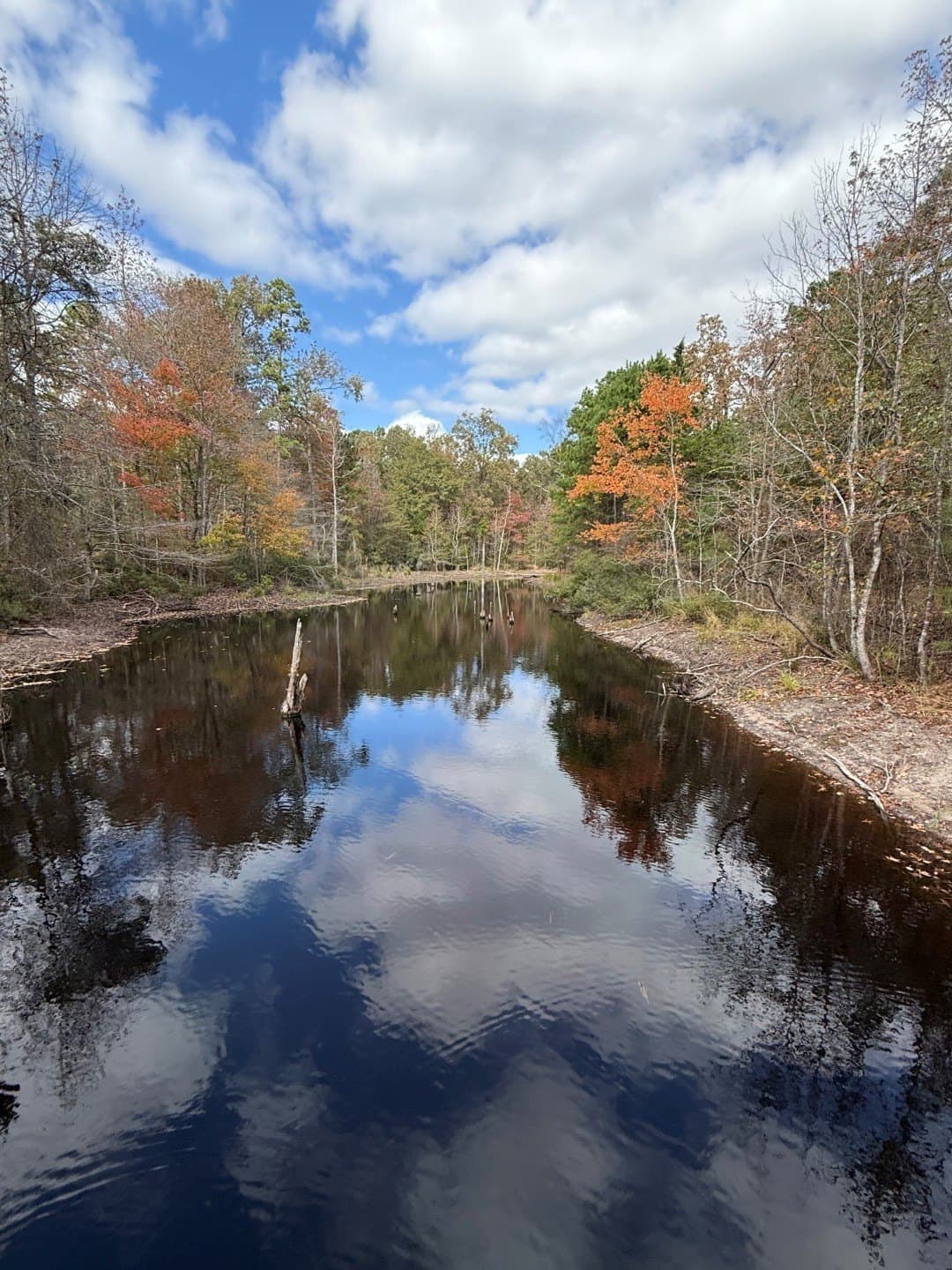 132.07 acres in Upshur County - photo 24