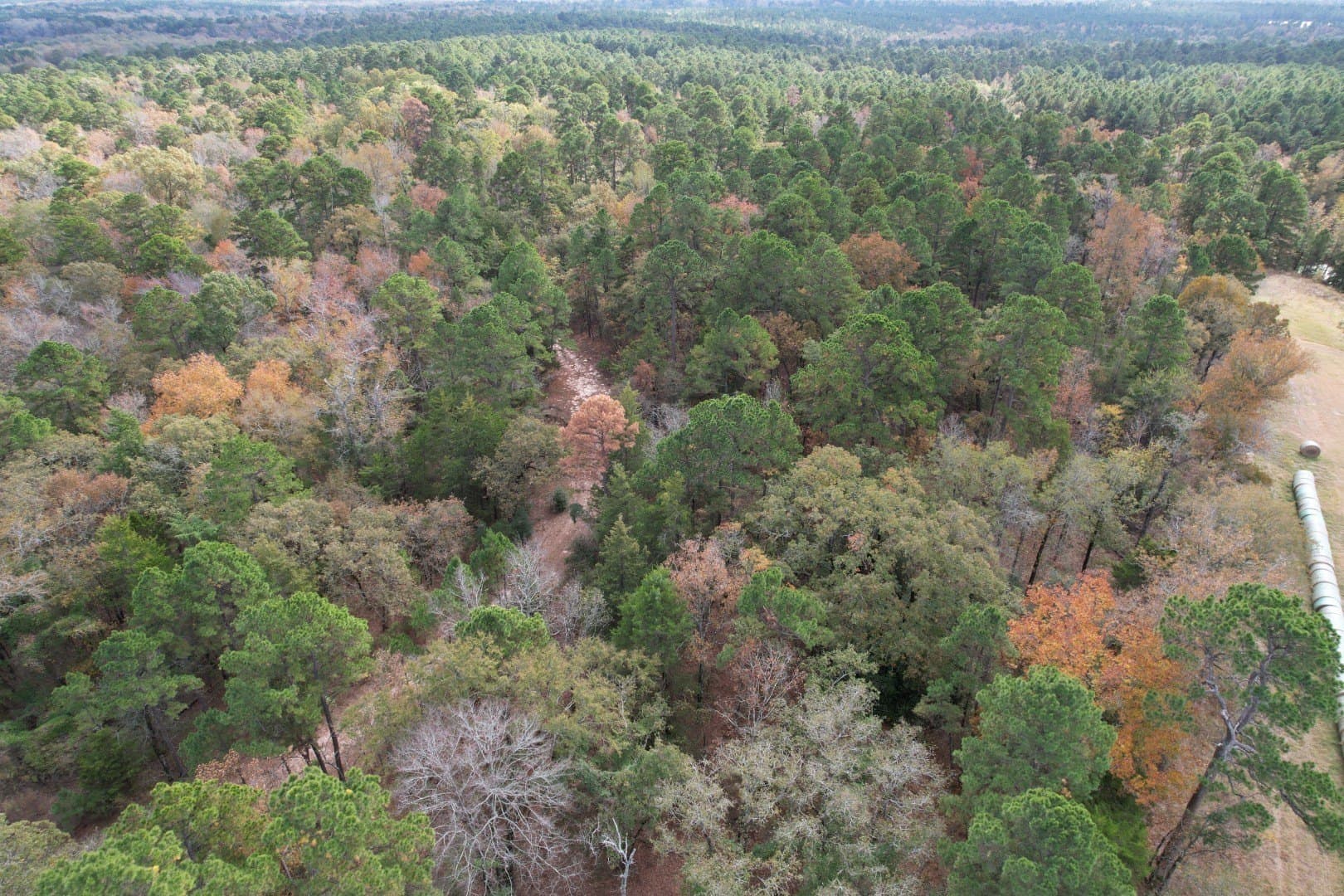 132.07 acres in Upshur County - photo 20