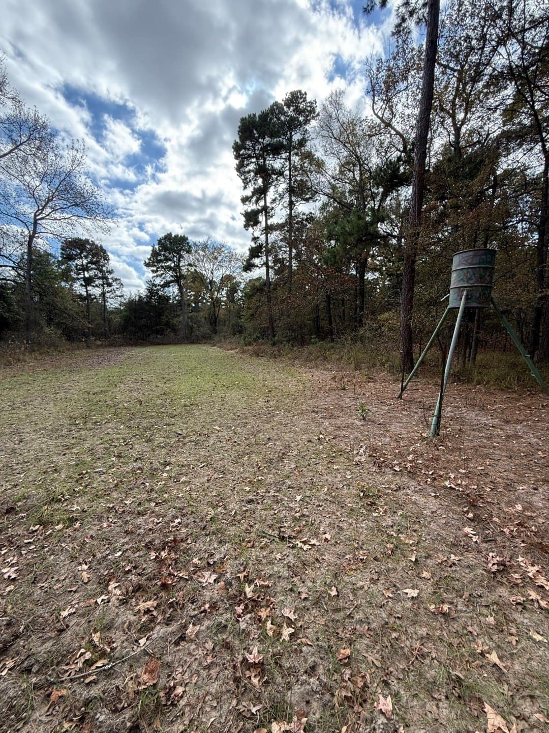 132.07 acres in Upshur County - photo 30