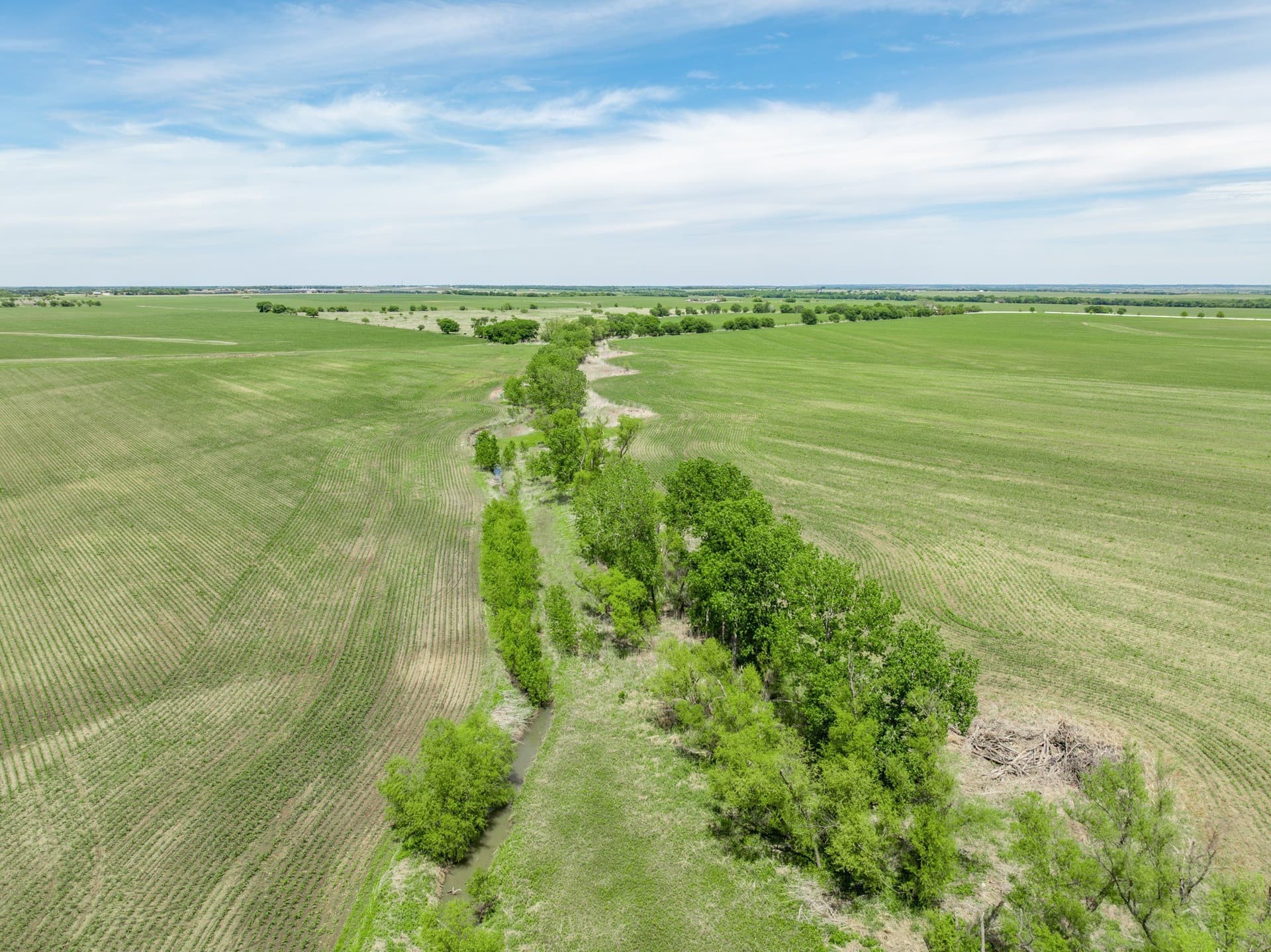 10.01 acres in Hill County - photo 5