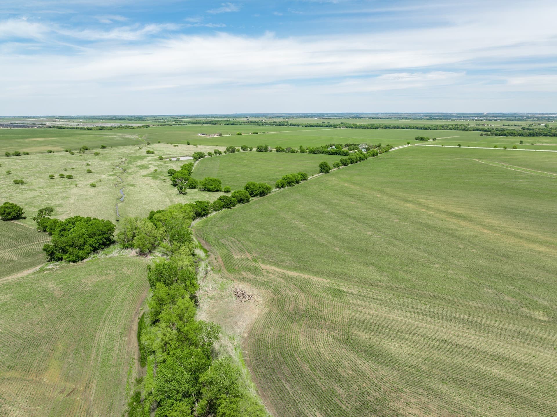10.01 acres in Hill County - photo 7
