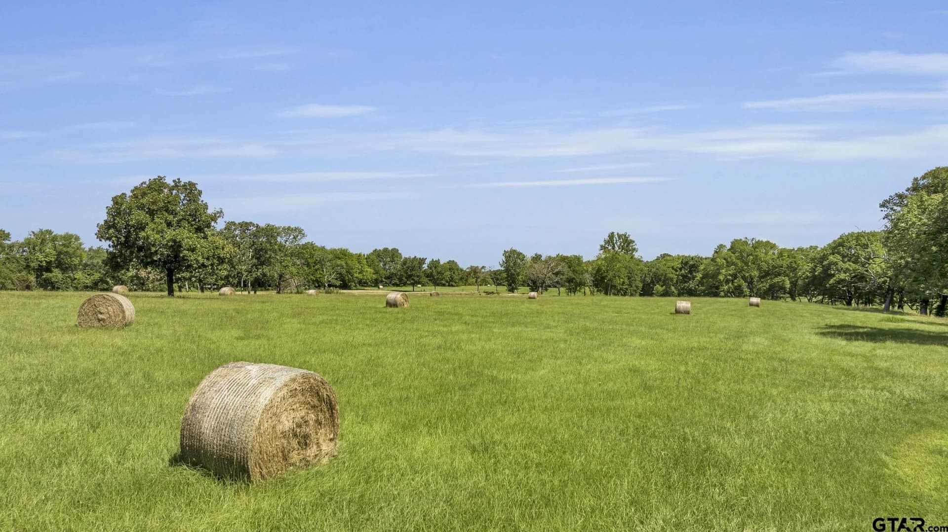 28.89 acres in Wood County - photo 5