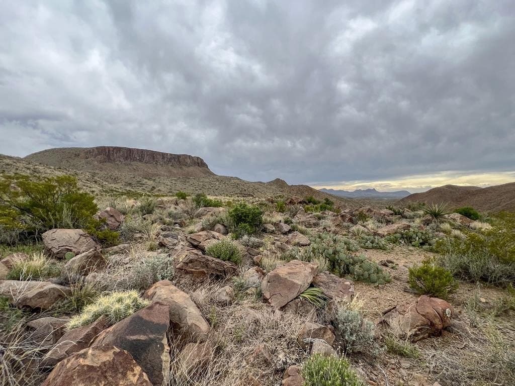 80 acres in Brewster County - photo 16