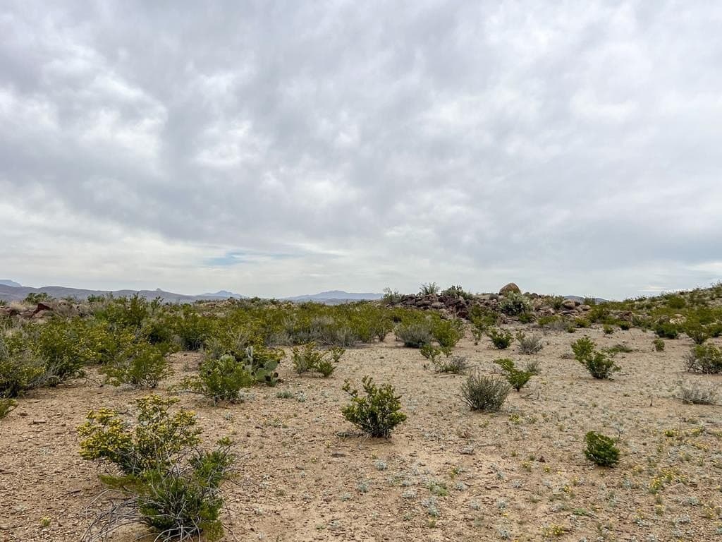 80 acres in Brewster County - photo 22