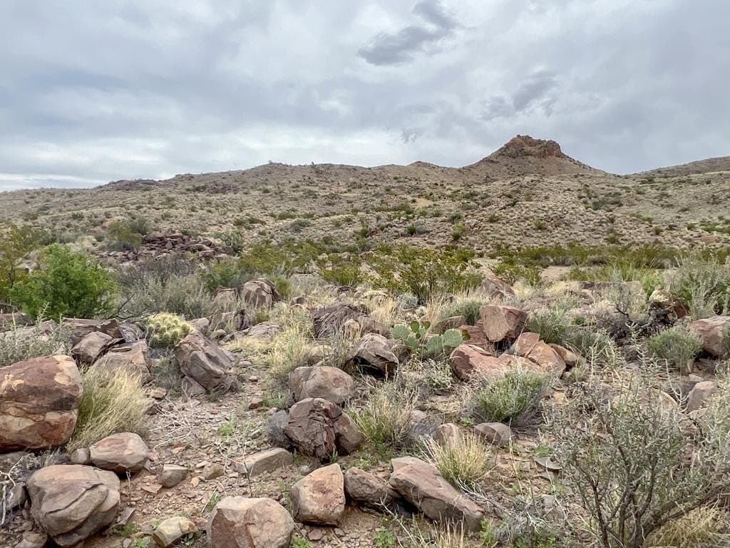 80 acres in Brewster County - photo 17