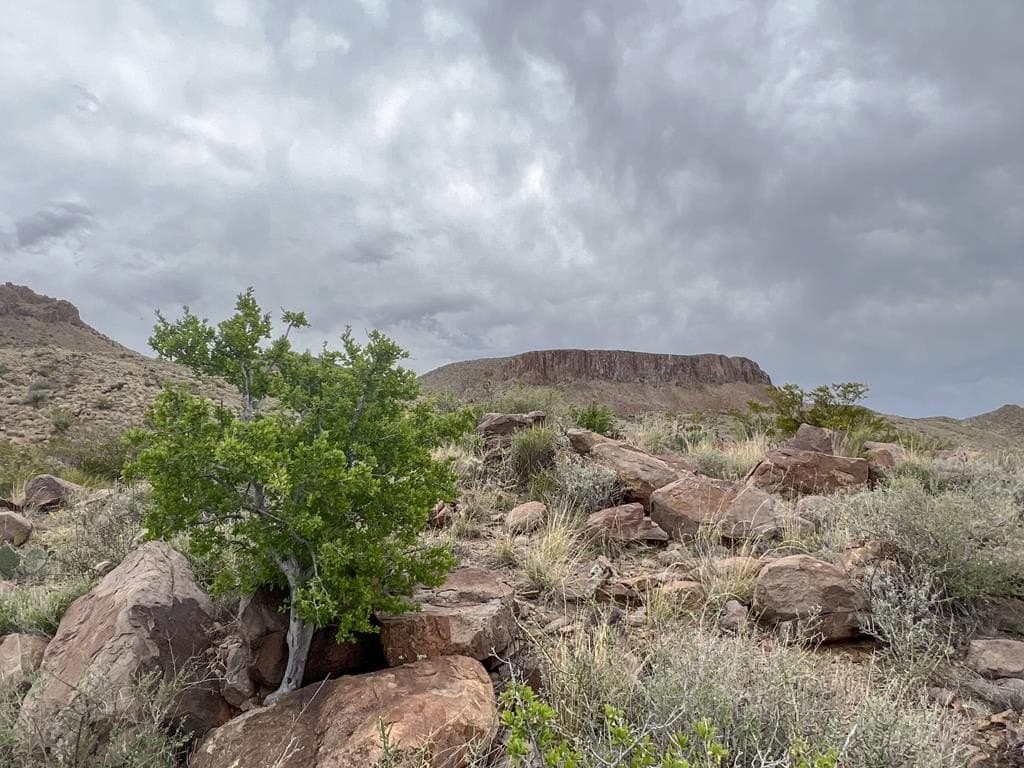 80 acres in Brewster County - photo 15