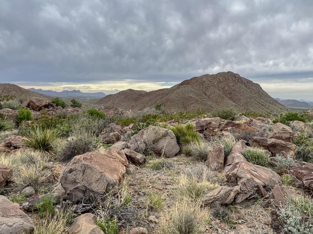 80 acres in Brewster County - photo 19