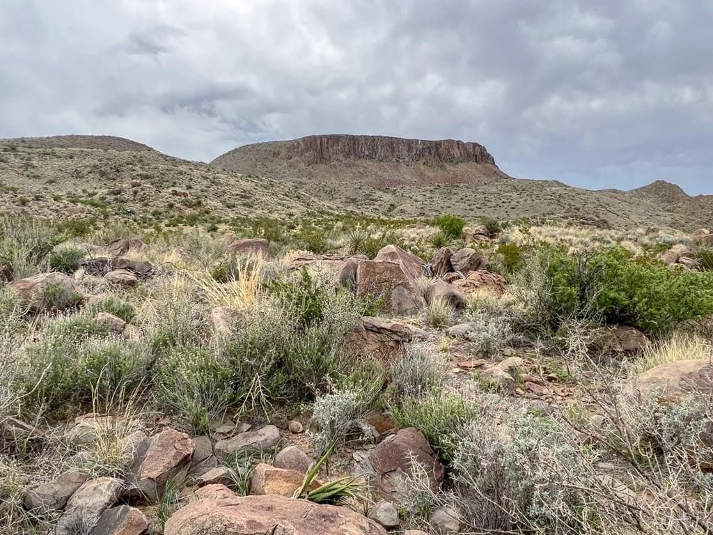 80 acres in Brewster County - photo 18