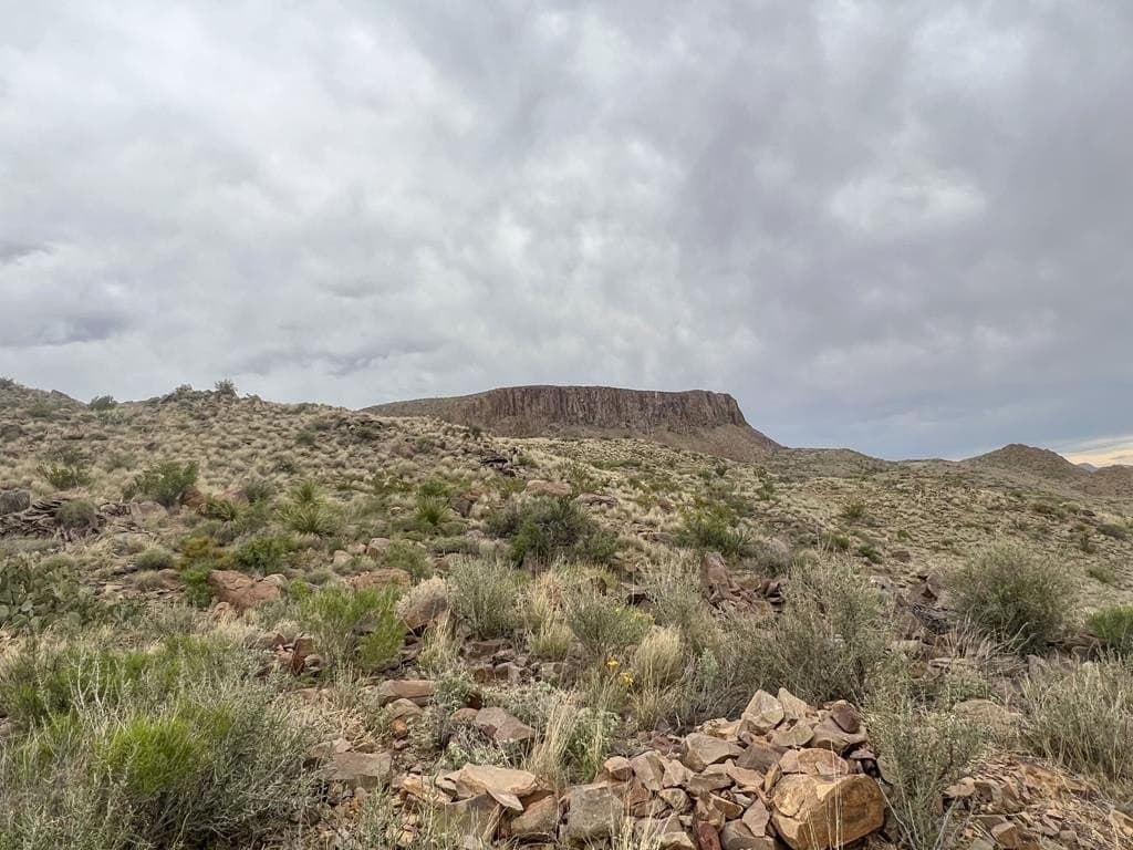 80 acres in Brewster County - photo 8