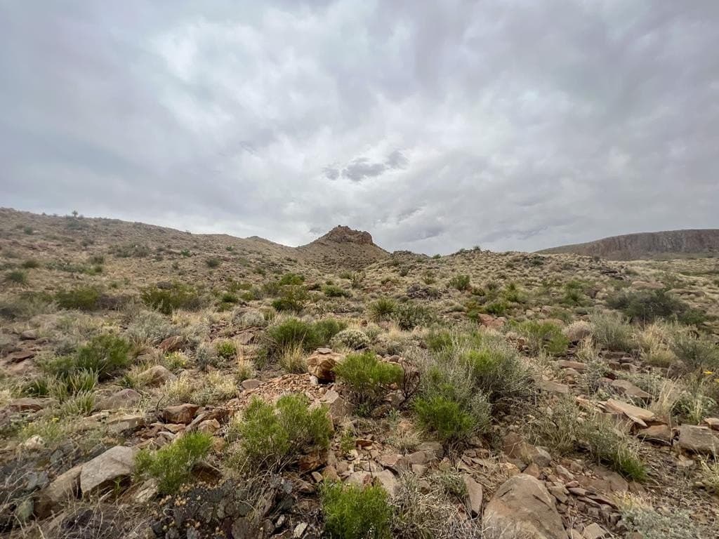 80 acres in Brewster County - photo 7