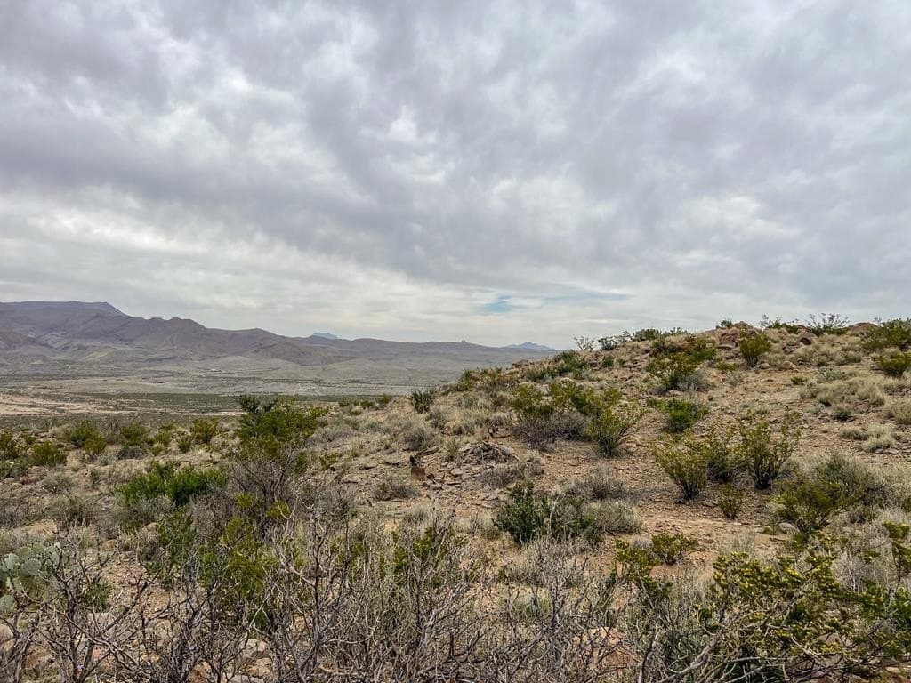 80 acres in Brewster County - photo 13