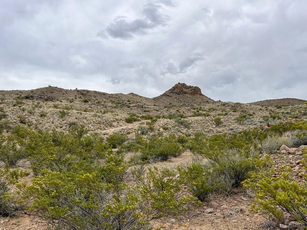 80 acres in Brewster County - photo 11