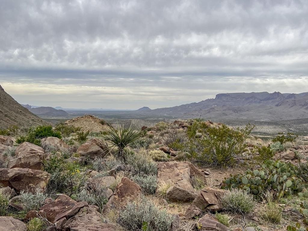 80 acres in Brewster County - photo 20
