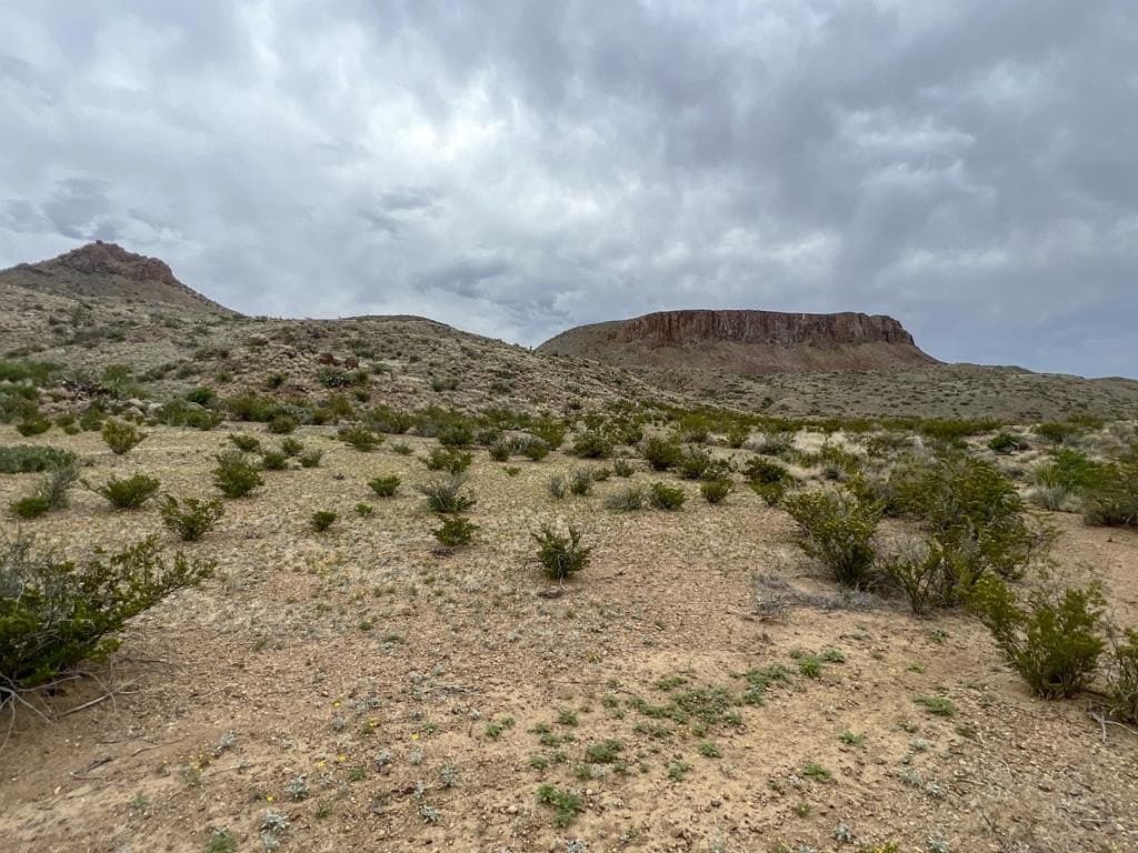 80 acres in Brewster County - photo 21