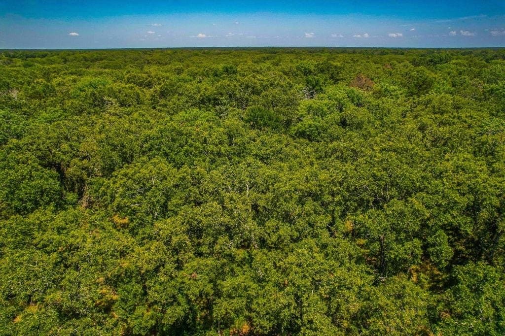 5 acres in Rains County