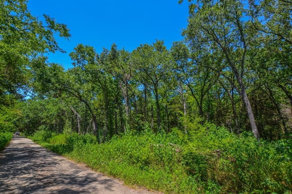 5 acres in Rains County gallery image 3