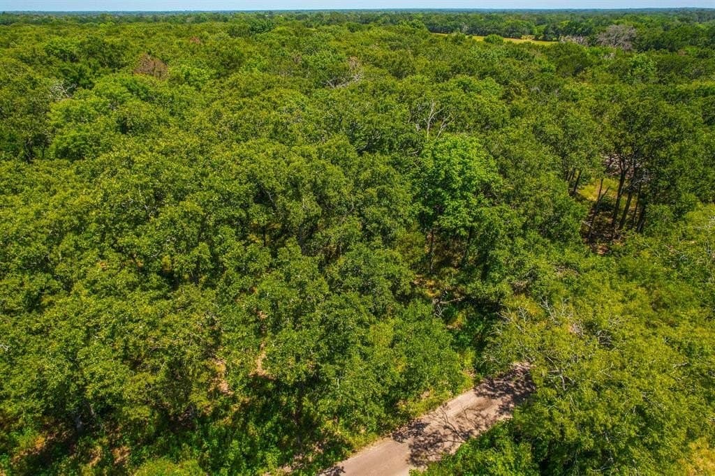 5 acres in Rains County featured view