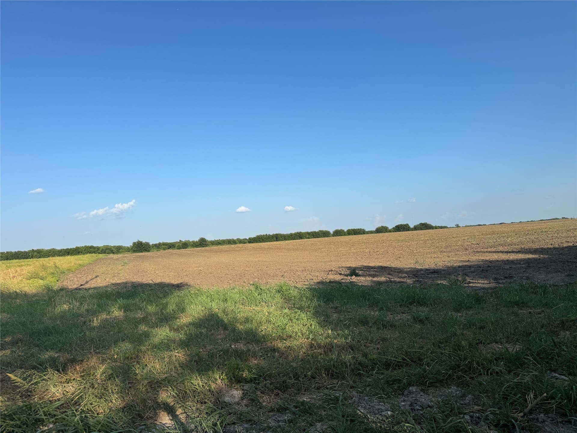 12 acres in Fannin County - photo 13