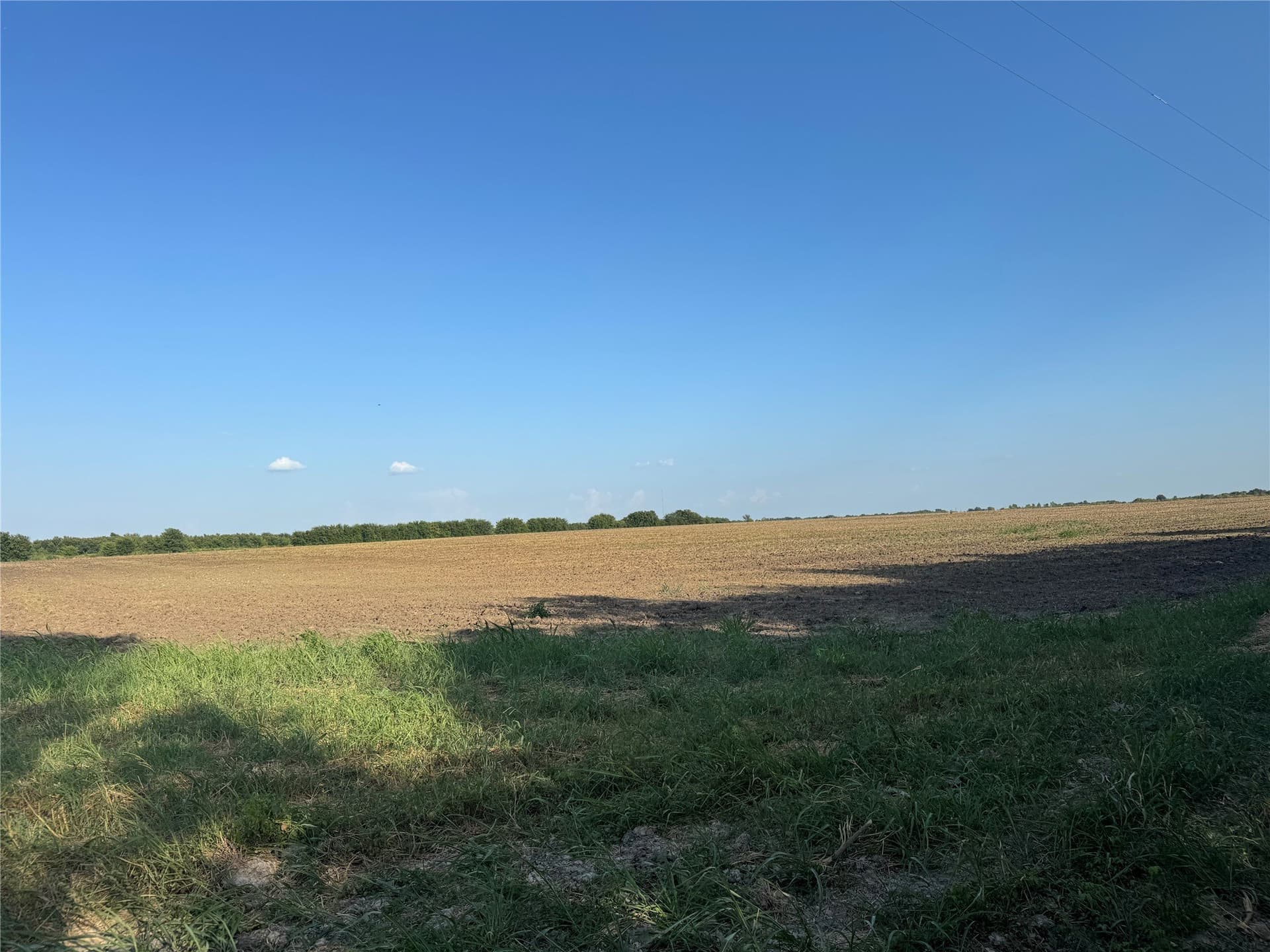 12 acres in Fannin County - photo 16