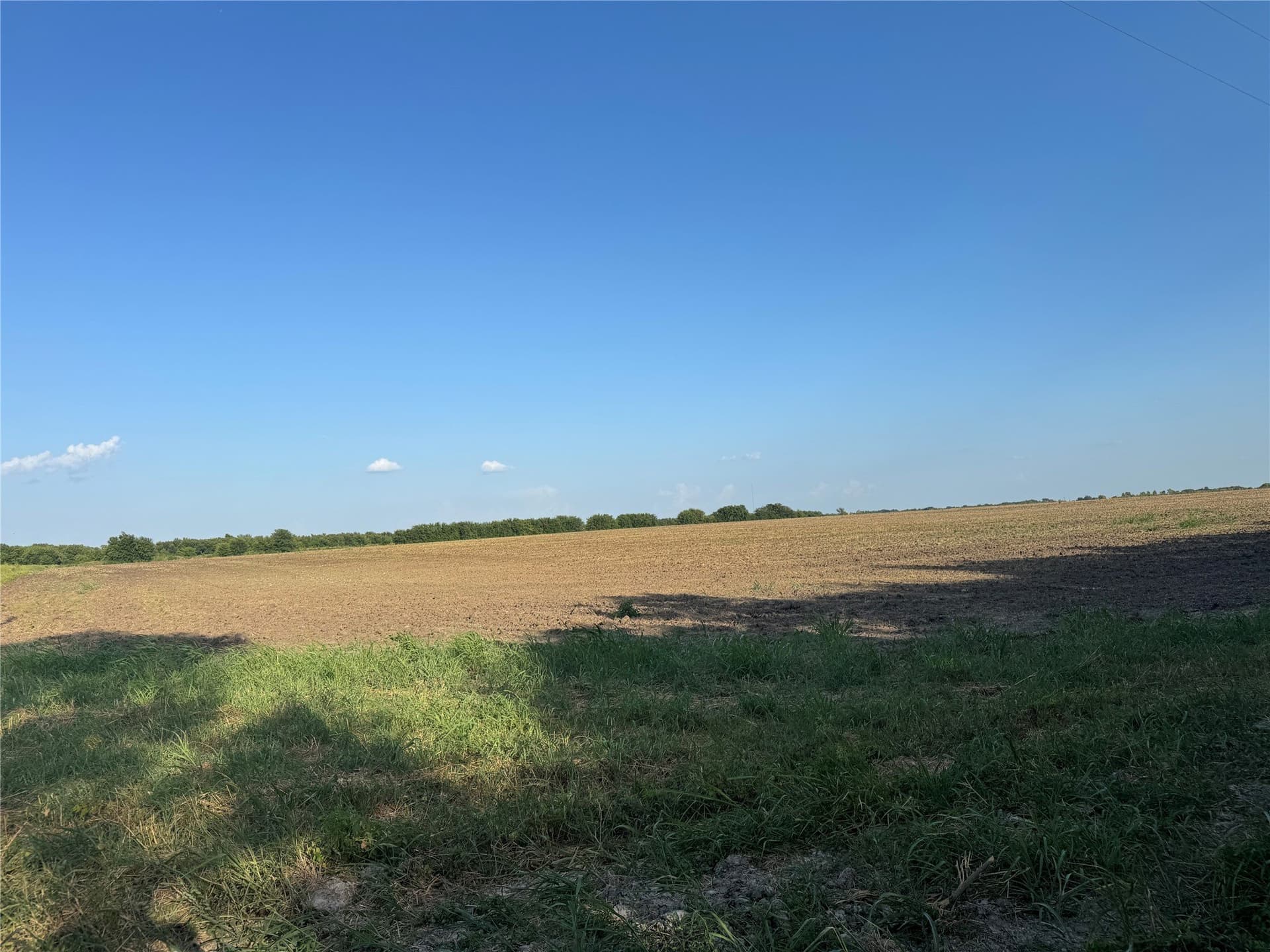 12 acres in Fannin County - photo 14