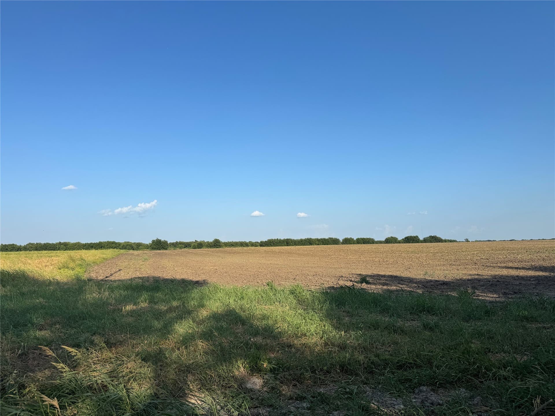 12 acres in Fannin County - photo 15