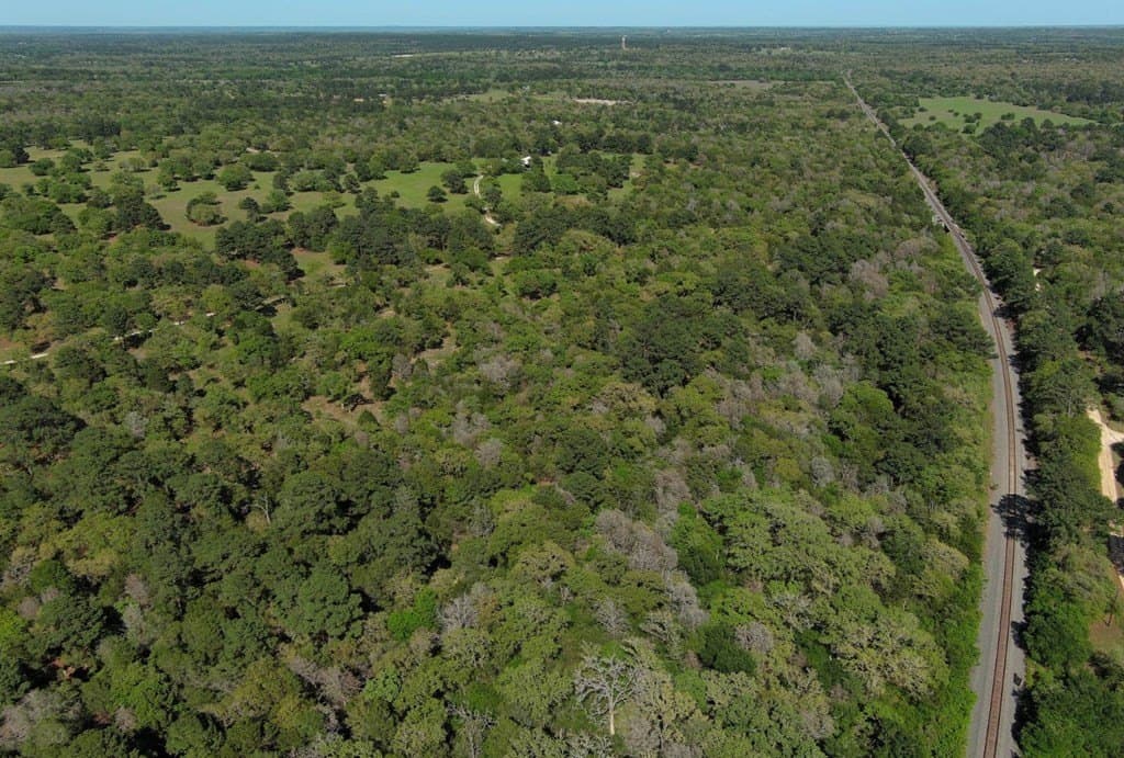 77.21 acres in Bastrop County featured view