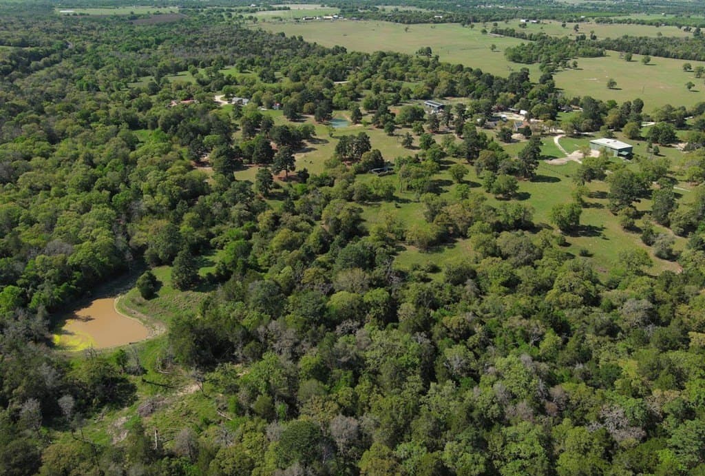77.21 acres in Bastrop County gallery image 3