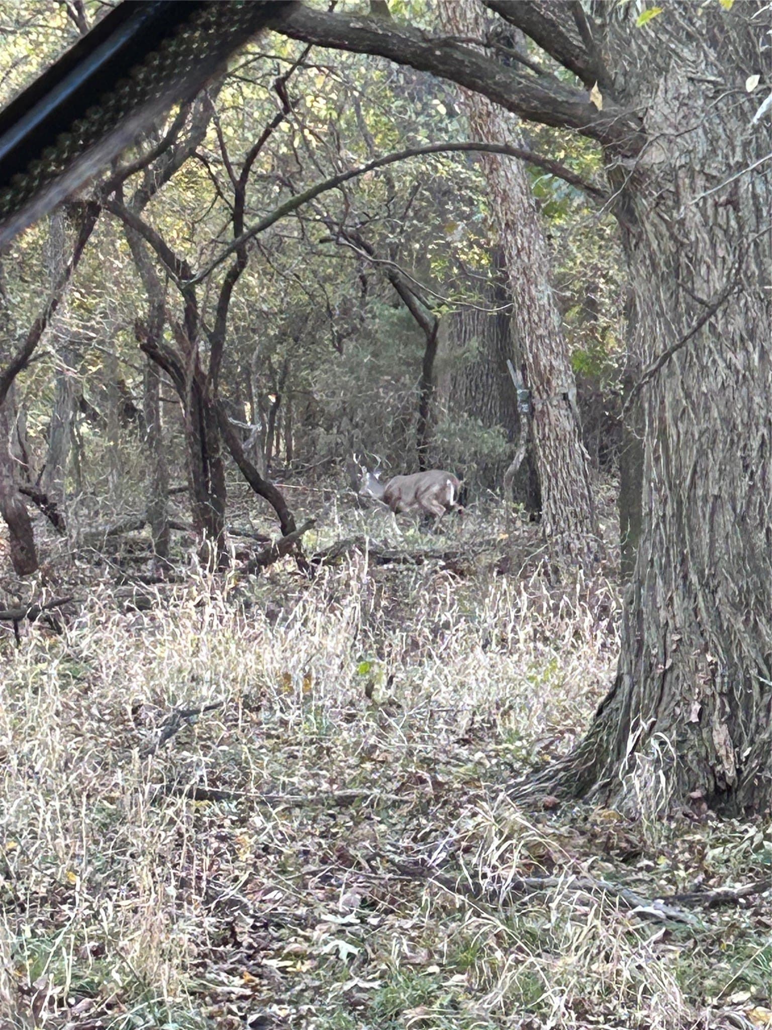 20.23 acres in Collin County - photo 16
