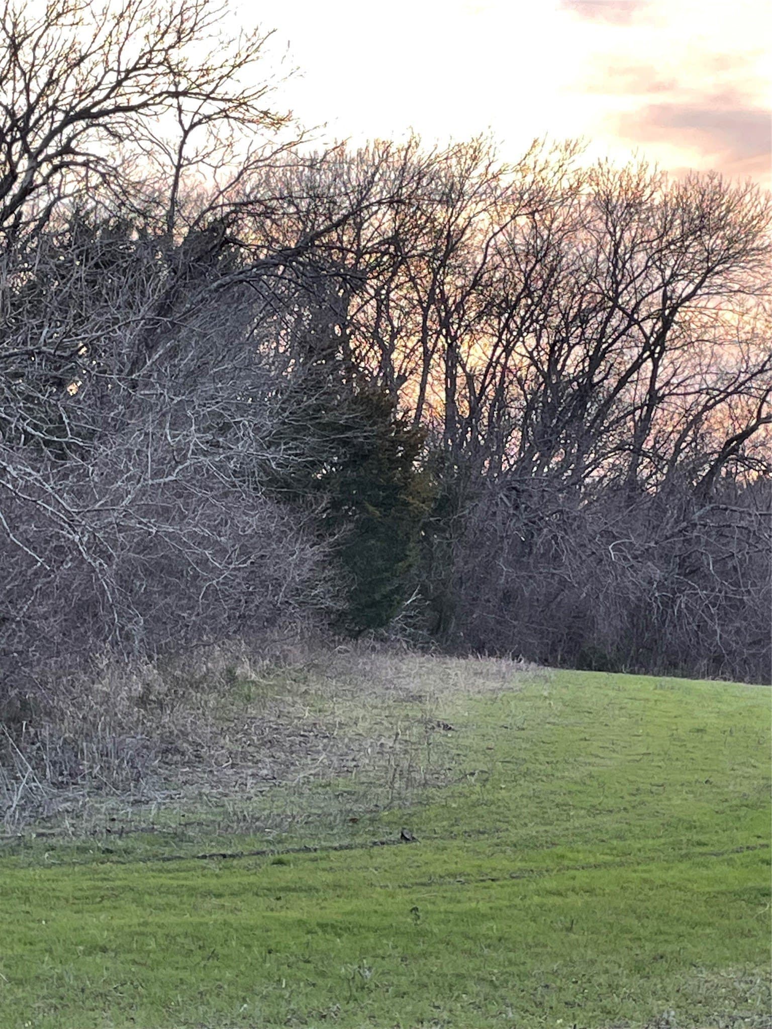 20.23 acres in Collin County - photo 9