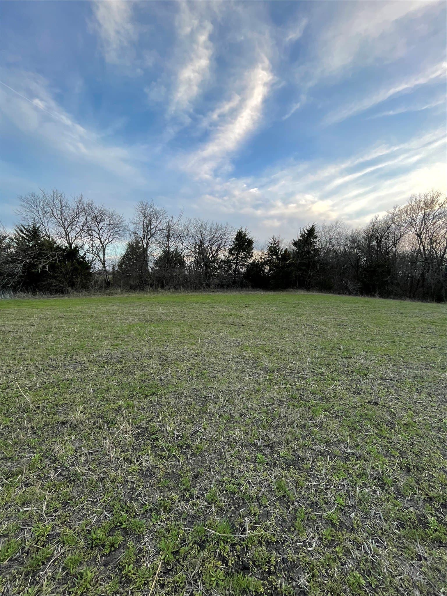 20.23 acres in Collin County - photo 8