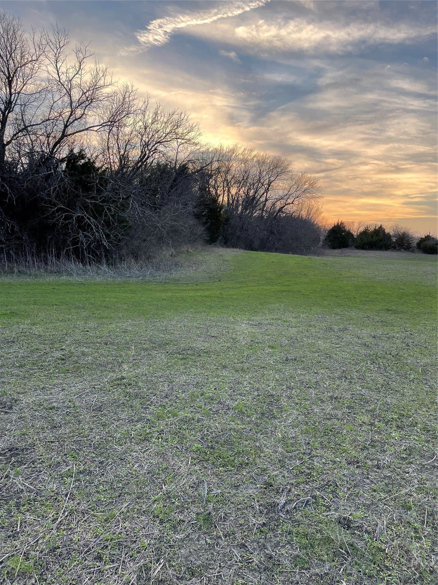 20.23 acres in Collin County - photo 10
